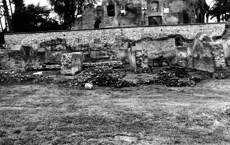 005642 - monumento - Clivio Palatino: Strutture
