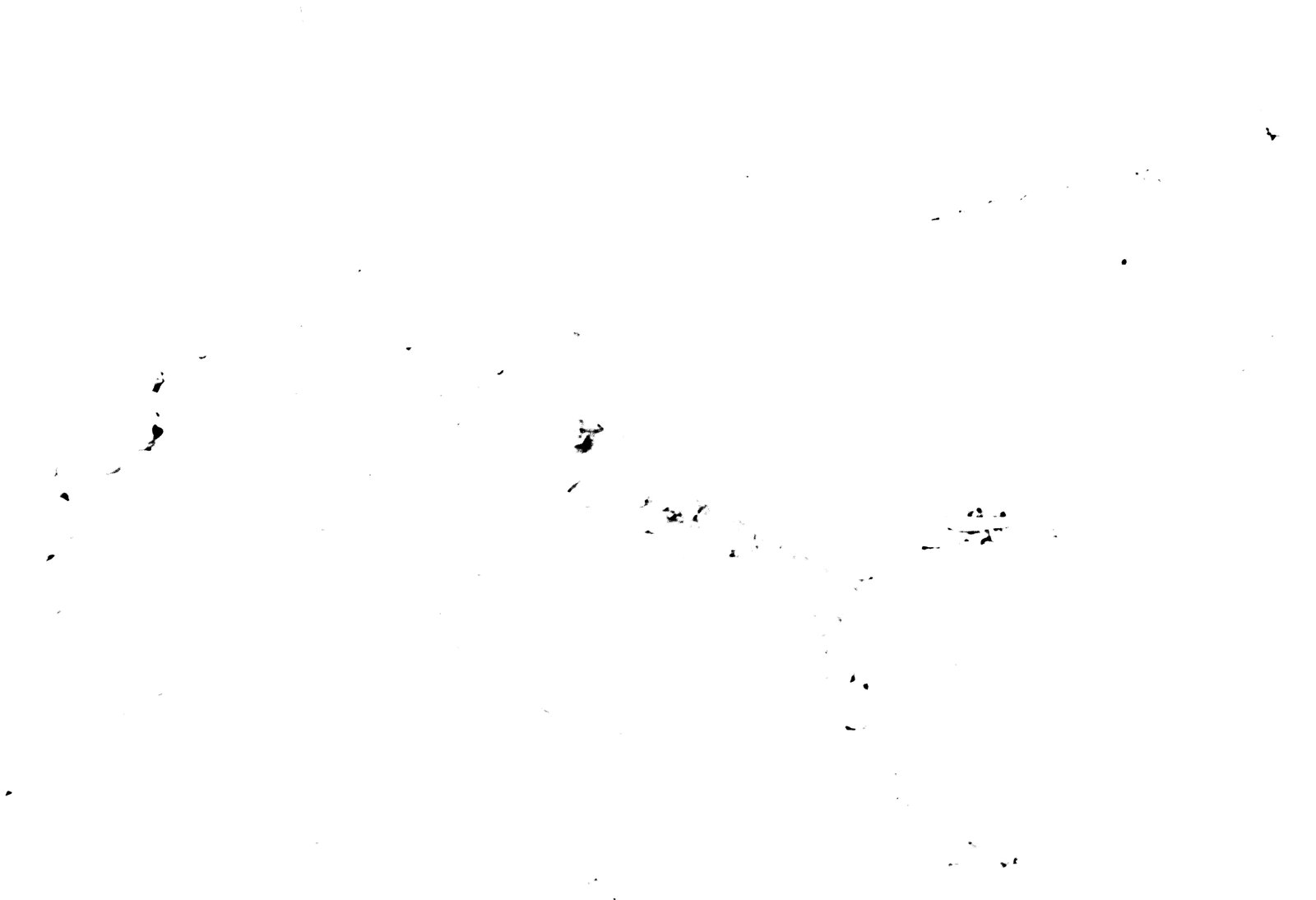 35mm-N_1-00011-36A_000331.tif