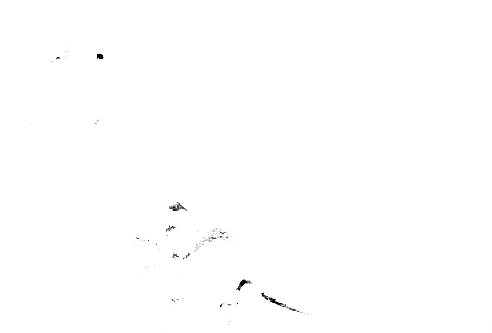35mm-N_1-00012-04_000340.tif