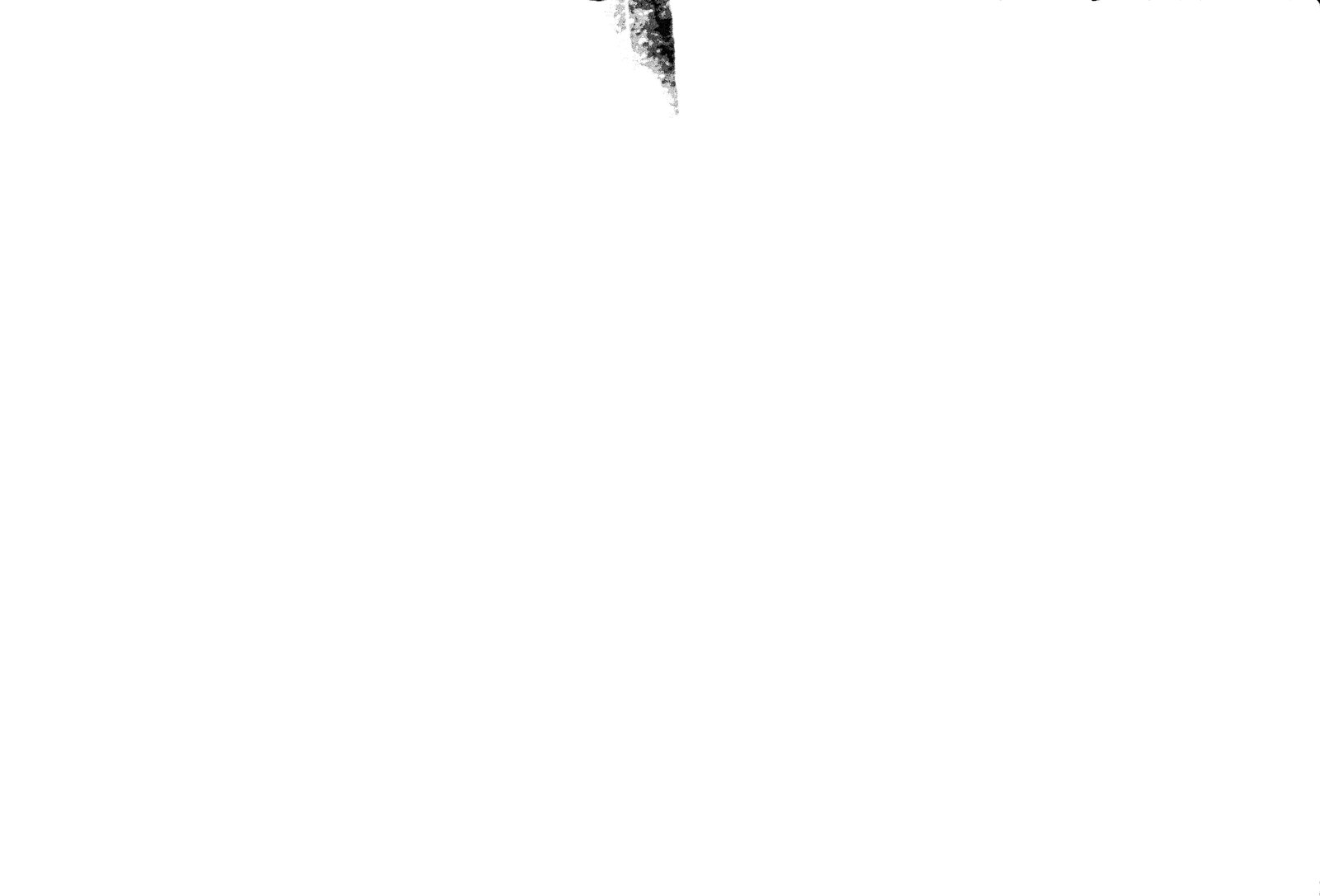 35mm-N_1-00012-10A_000347.tif