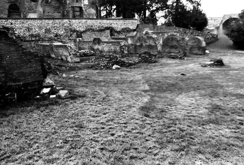 005645 - monumento - Clivio Palatino: Strutture