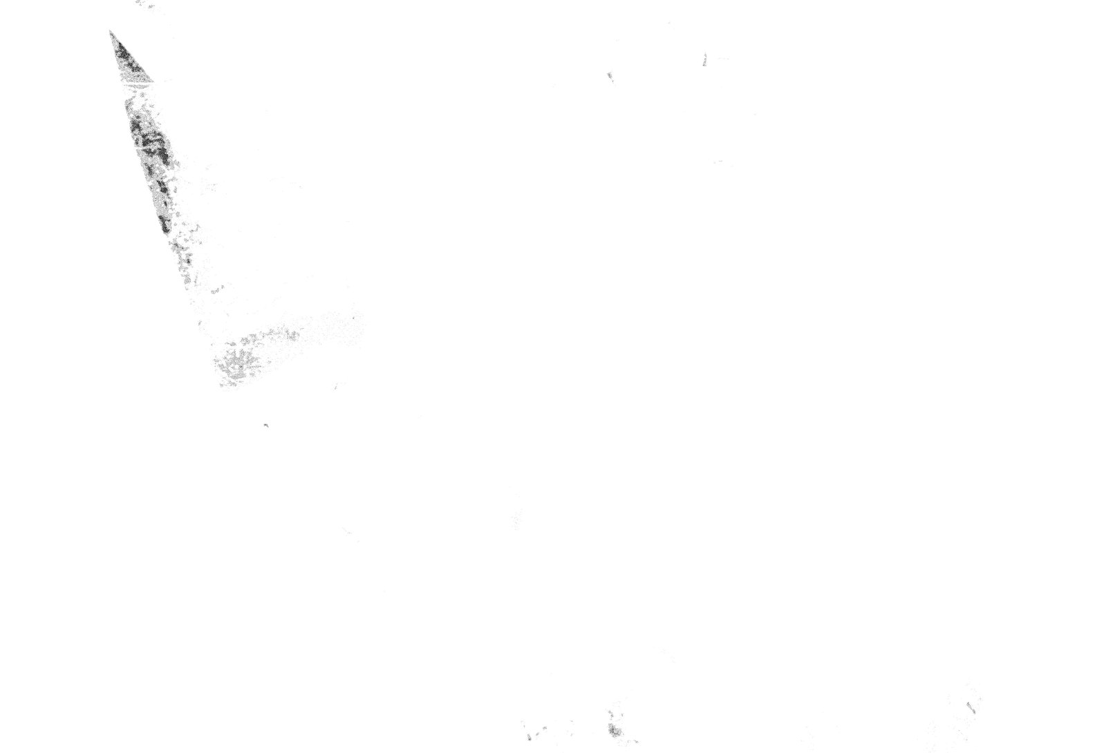 35mm-N_1-00012-20A_000358.tif
