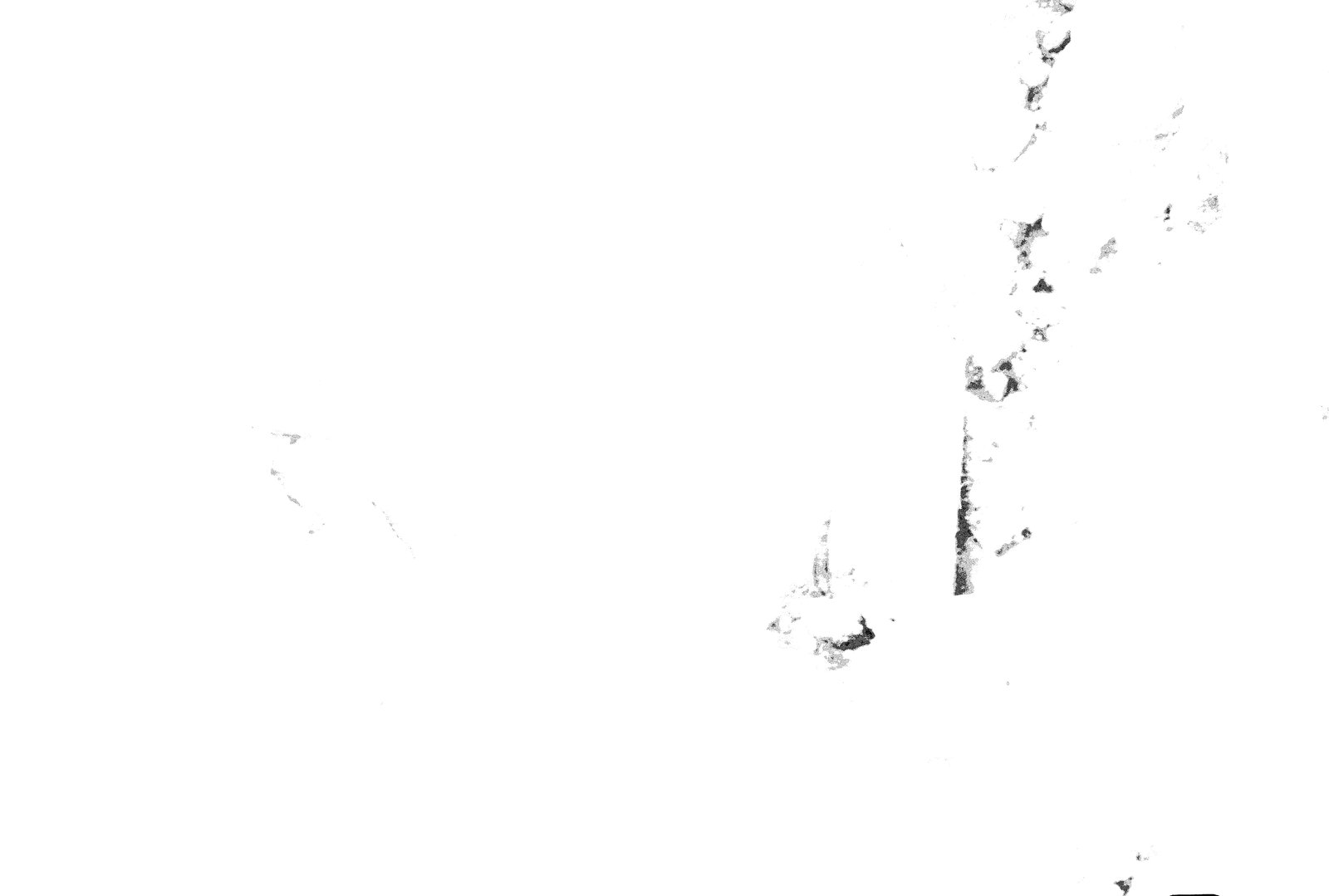 35mm-N_1-00012-25A_000363.tif