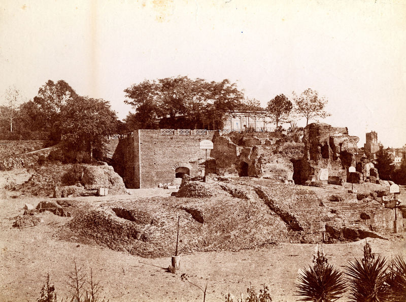 005796 - monumento - Clivio Palatino, tempio di Giove Statore: veduta