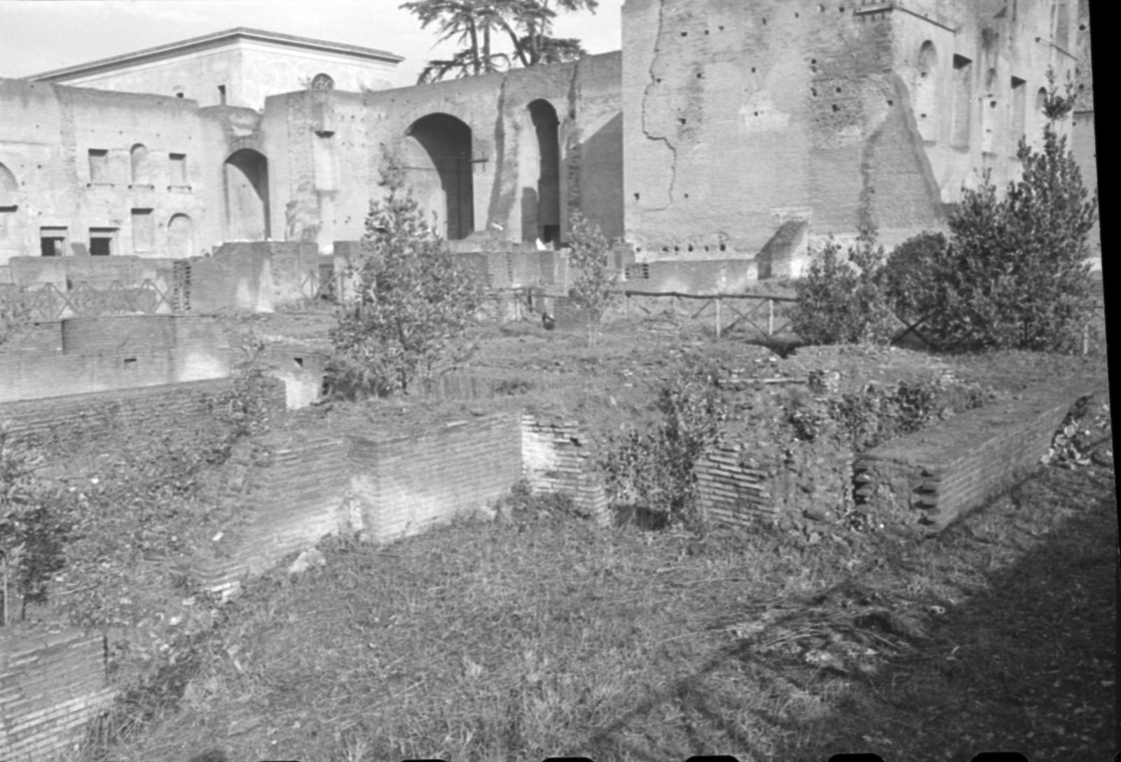 35mm-N_1-00014-03A_000421.tif