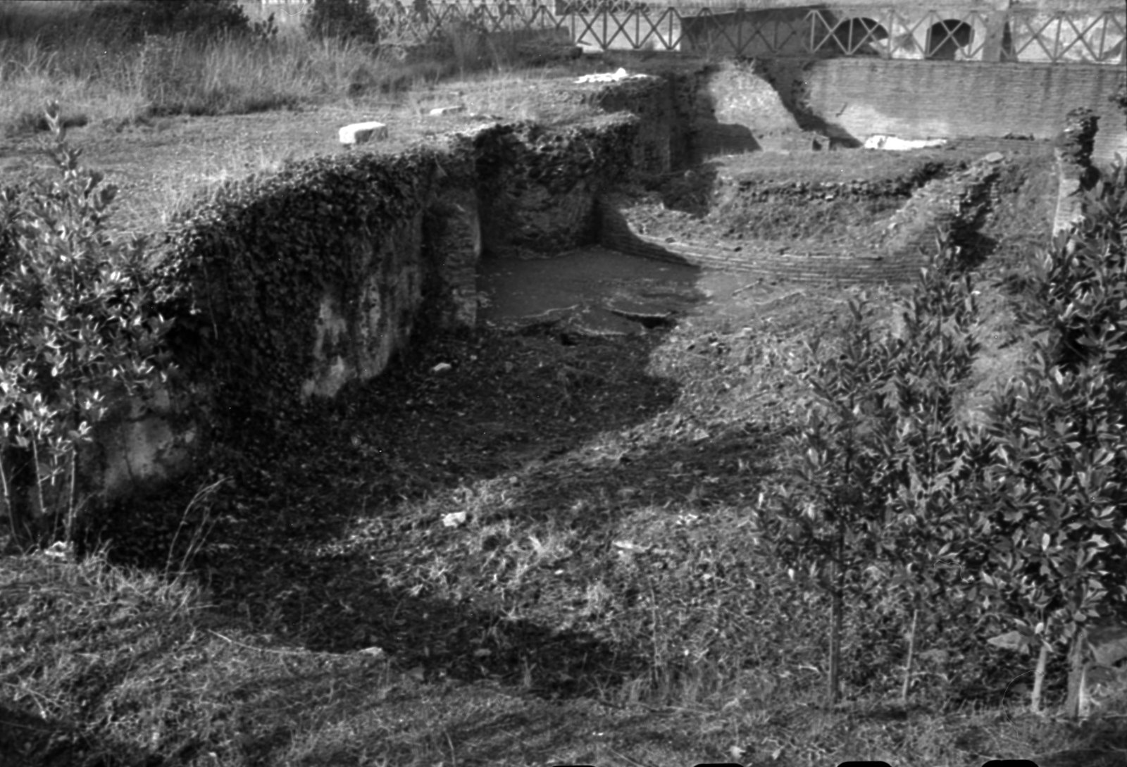 35mm-N_1-00014-05A_000423.tif