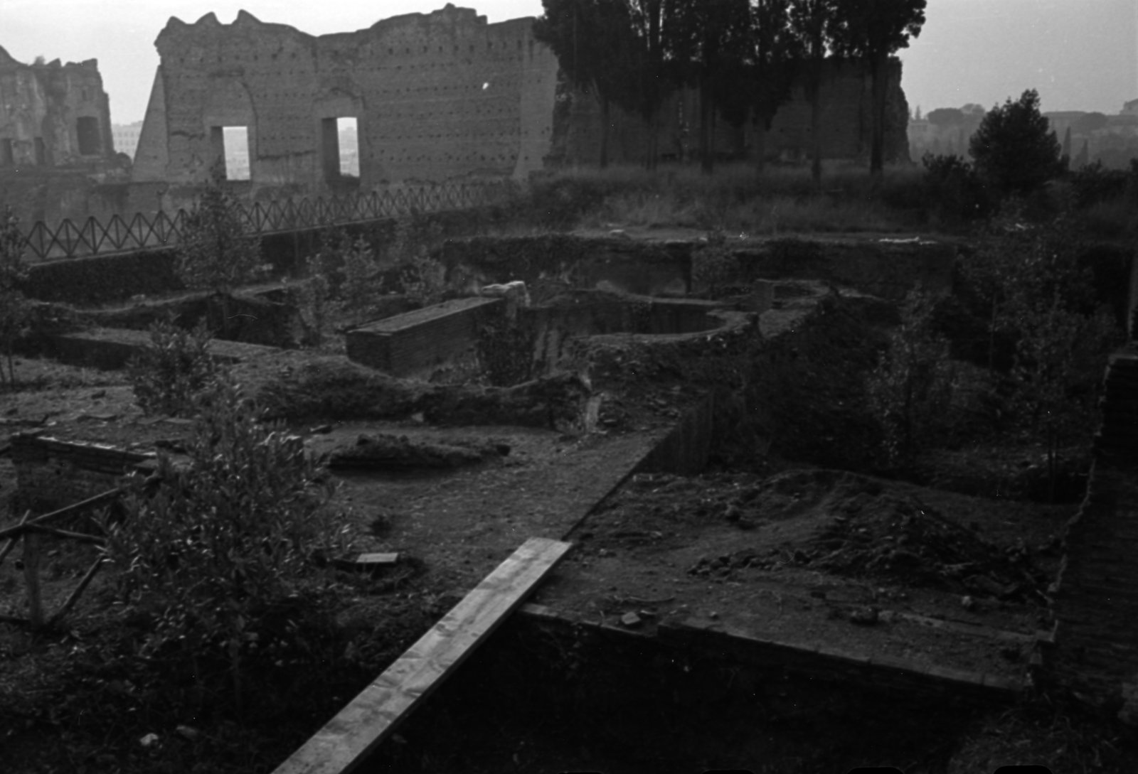 35mm-N_1-00014-18A_000436.tif
