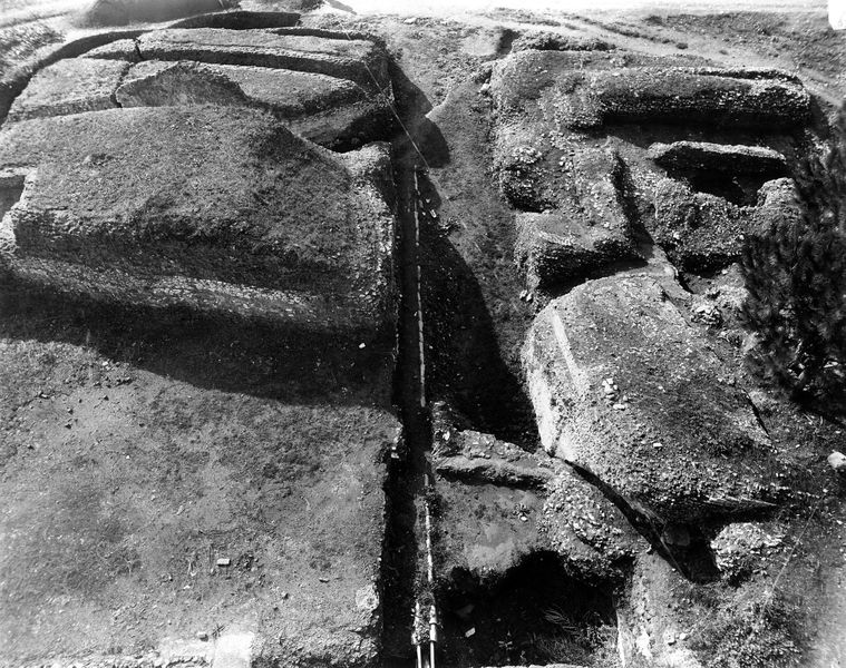 005799 - monumento - Clivio Palatino, tempio di Giove Statore: particolare del basamento del tempio a destra del Clivio