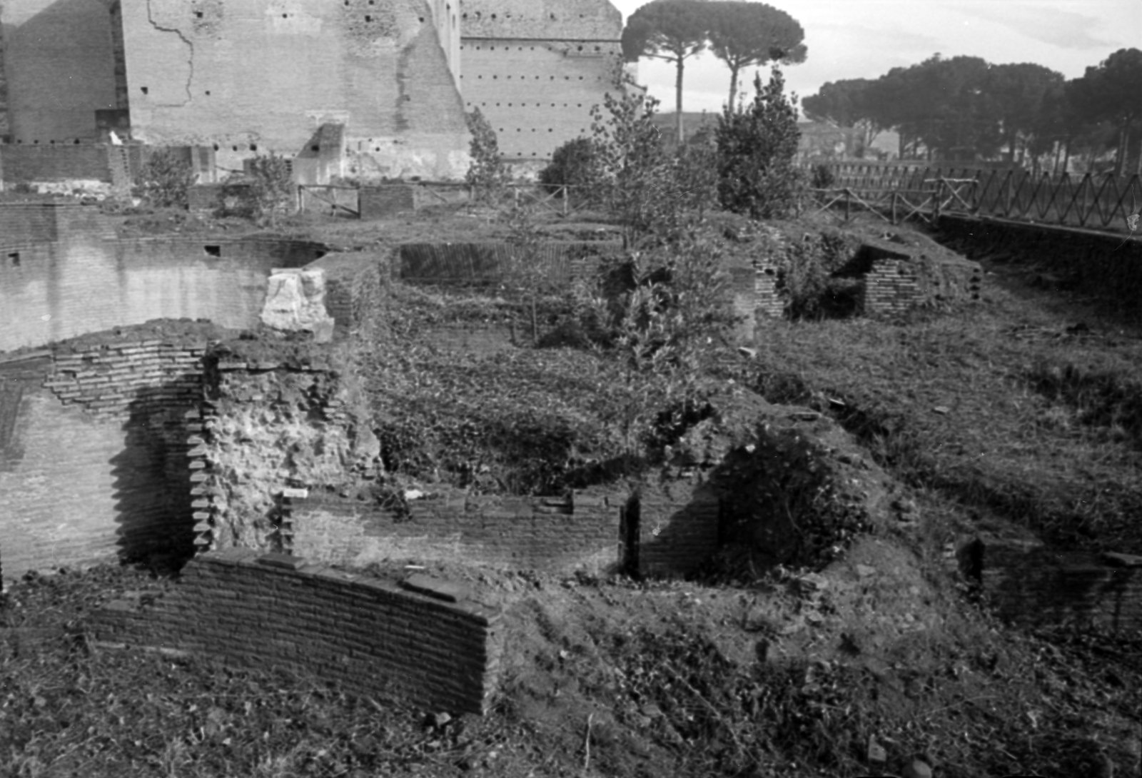 35mm-N_1-00014-26A_000444.tif