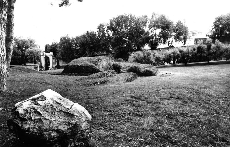 005815 - monumento - Clivio Palatino, tempio di Giove Statore: particolare del basamento del tempio (tempio di Giove Statore?) 