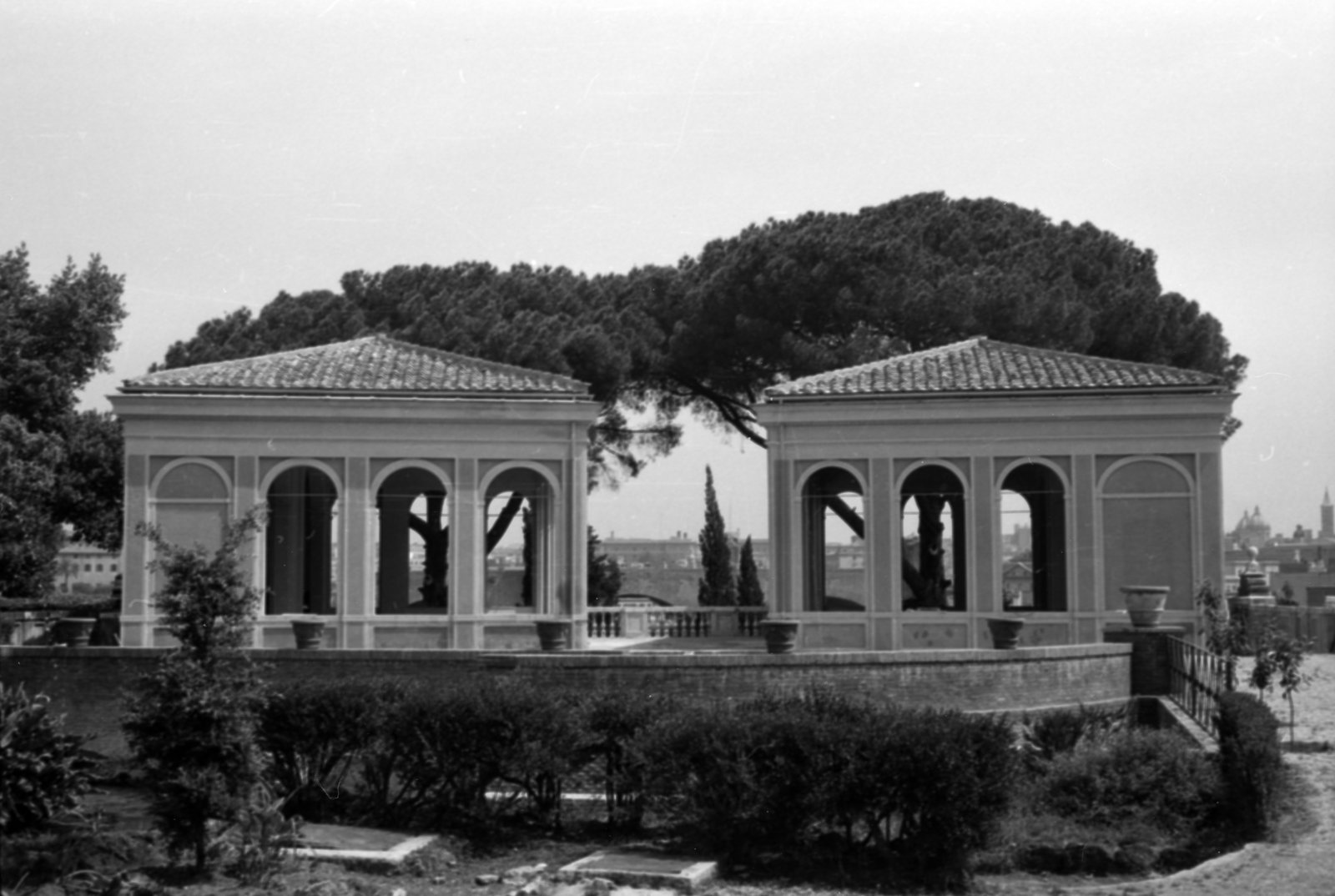 35mm-N_1-00015-05A_000463.tif