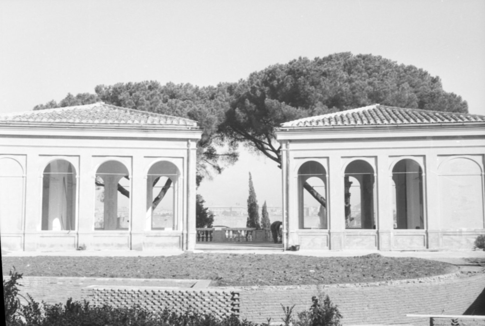 35mm-N_1-00015-08_000468.tif