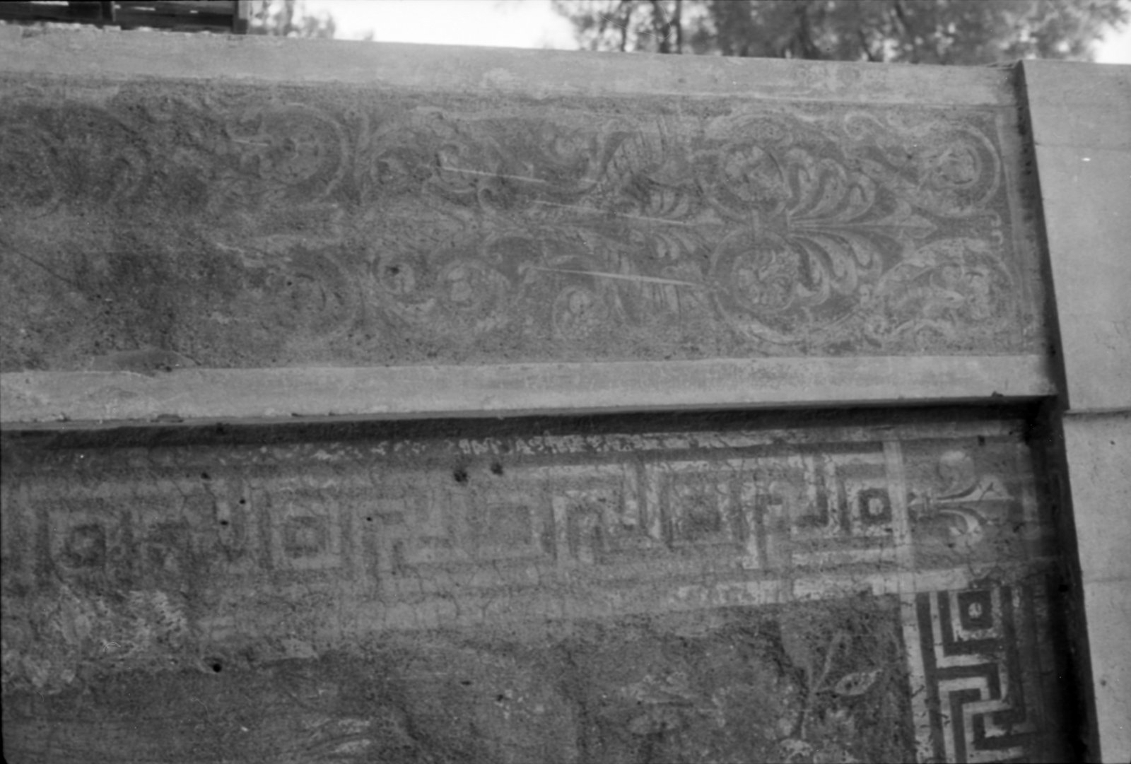 35mm-N_1-00015-13A_000479.tif