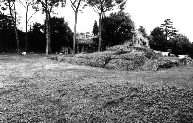 005817 - monumento - Clivio Palatino, tempio di Giove Statore: particolare del basamento del tempio (tempio di Giove Statore?) 