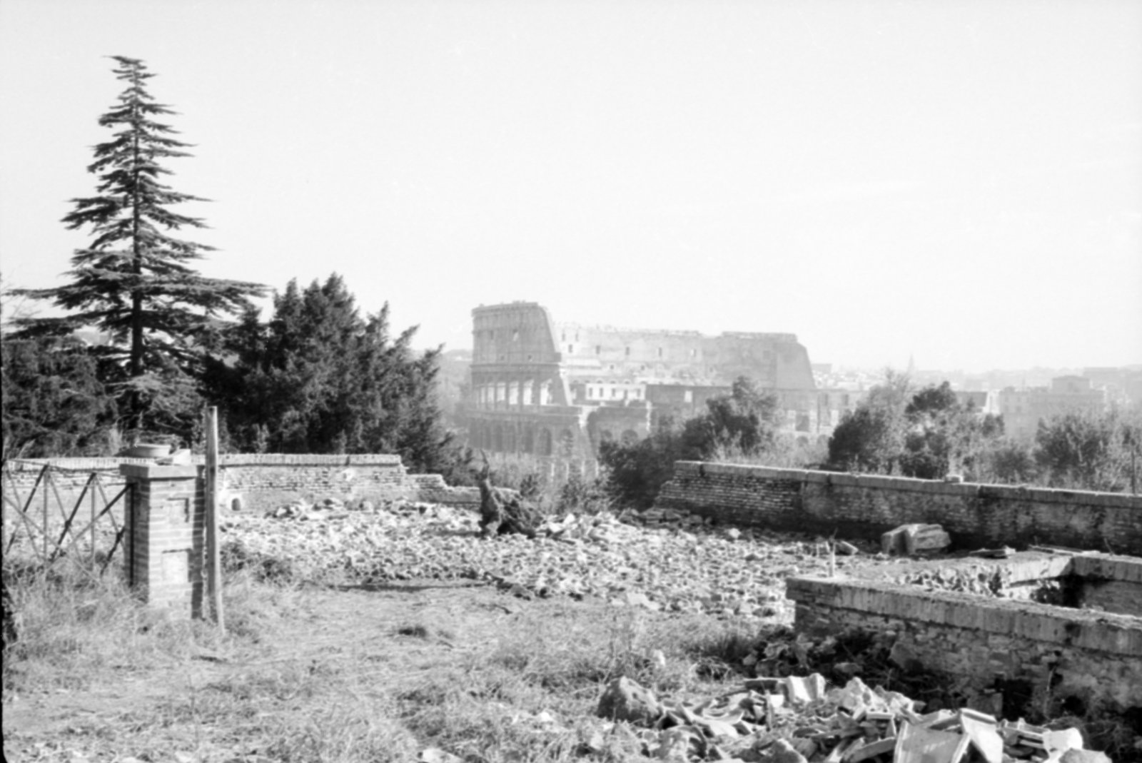 35mm-N_1-00015-16_000484.tif