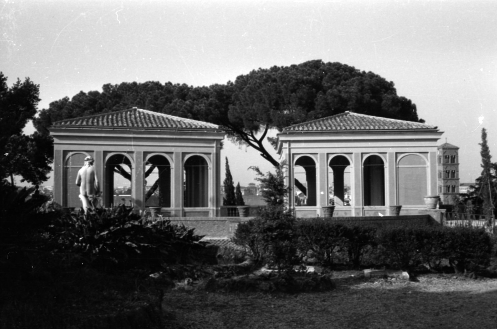 35mm-N_1-00015-26_000497.tif
