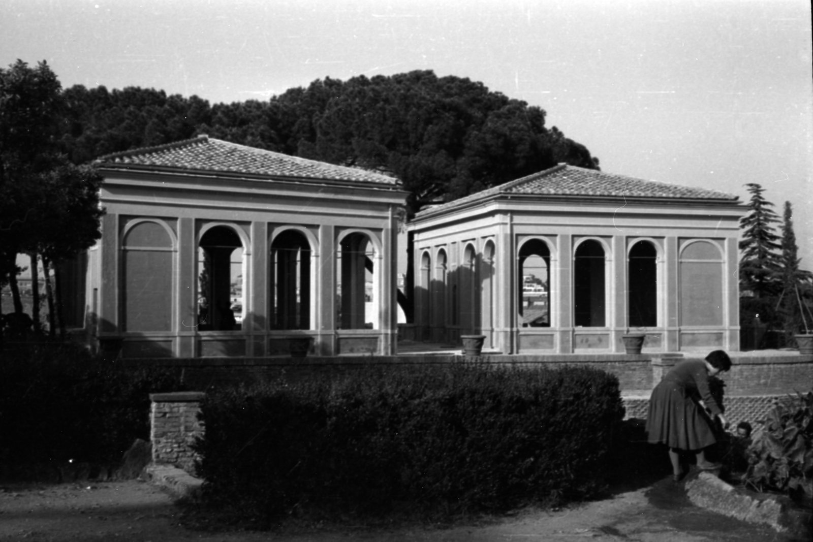 35mm-N_1-00015-27_000498.tif