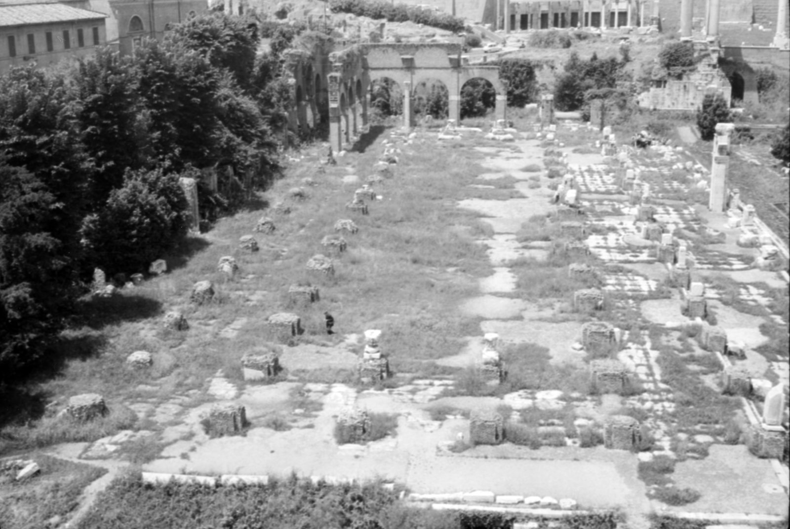 35mm-N_1-00016-05A_000502.tif