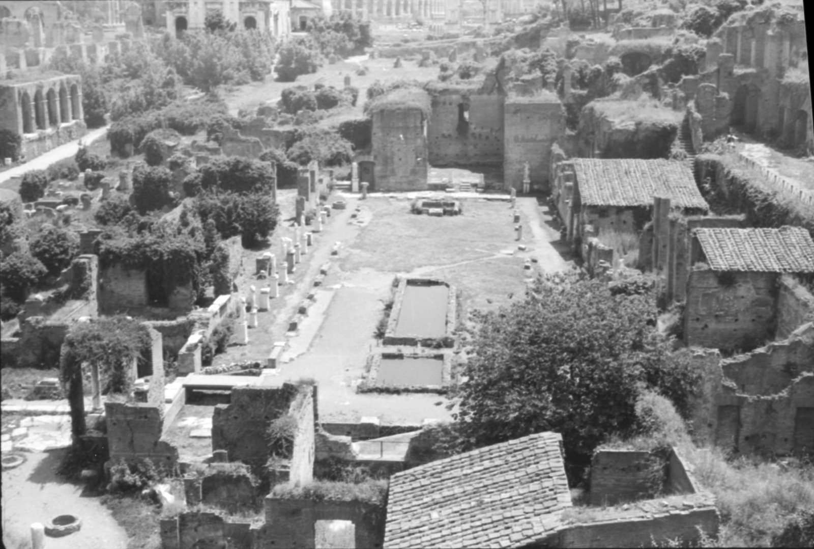 35mm-N_1-00016-12A_000509.tif