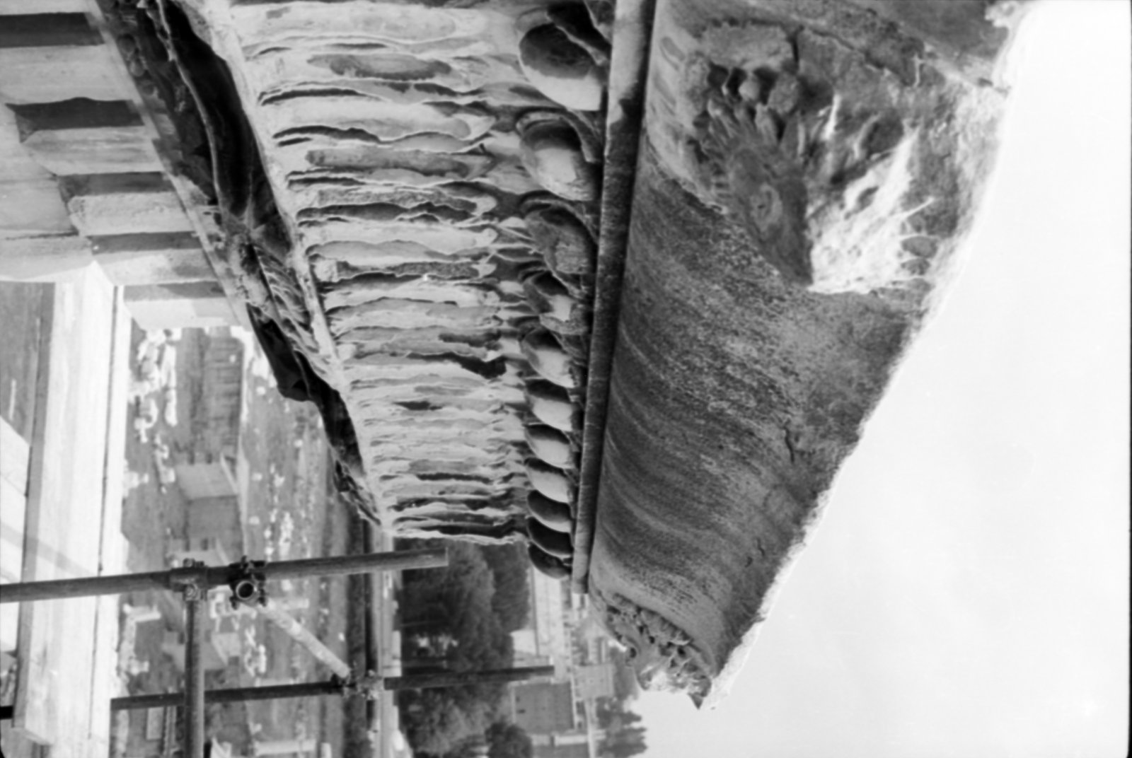 35mm-N_1-00016-32A_000527.tif