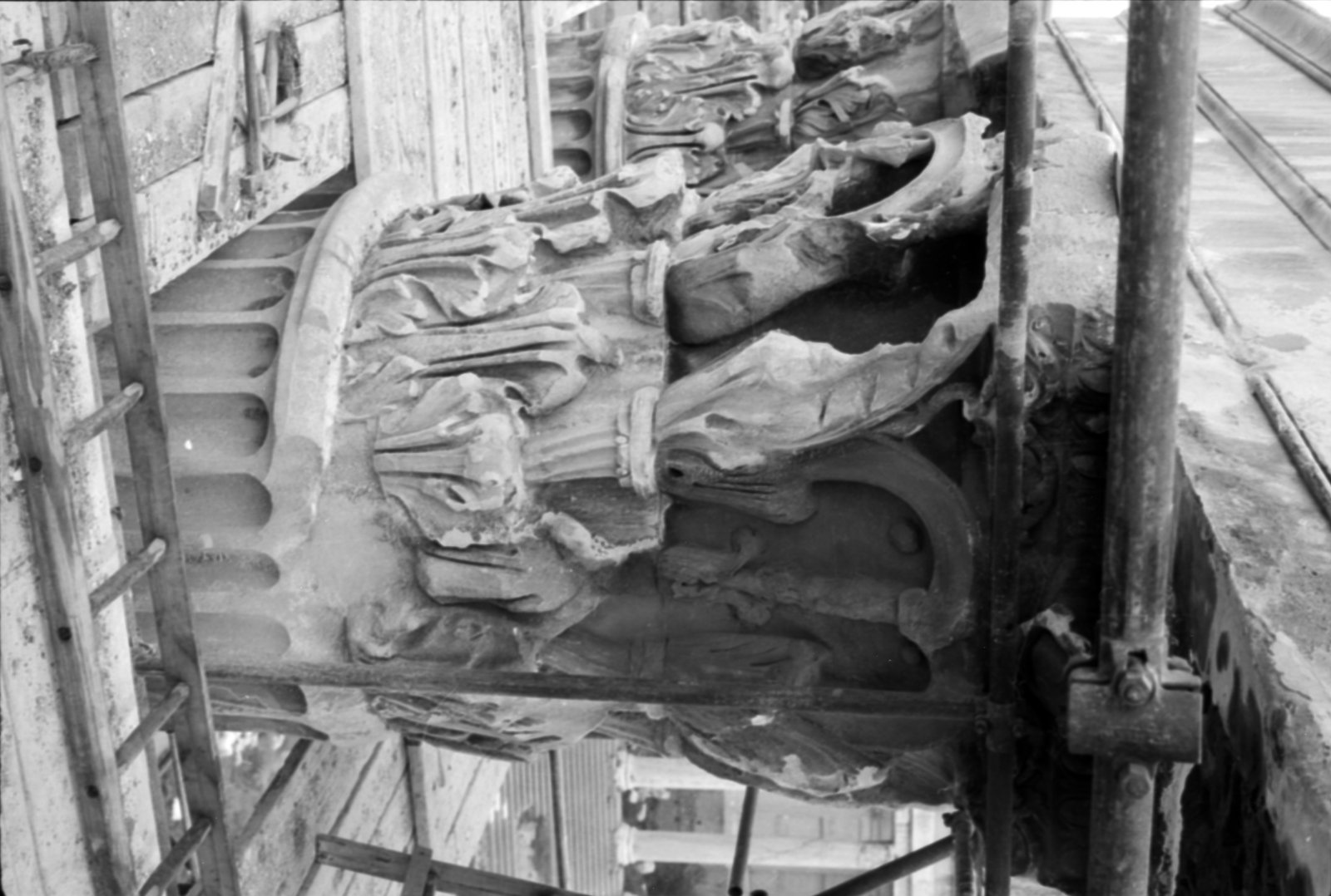 35mm-N_1-00017-32A_000560.tif