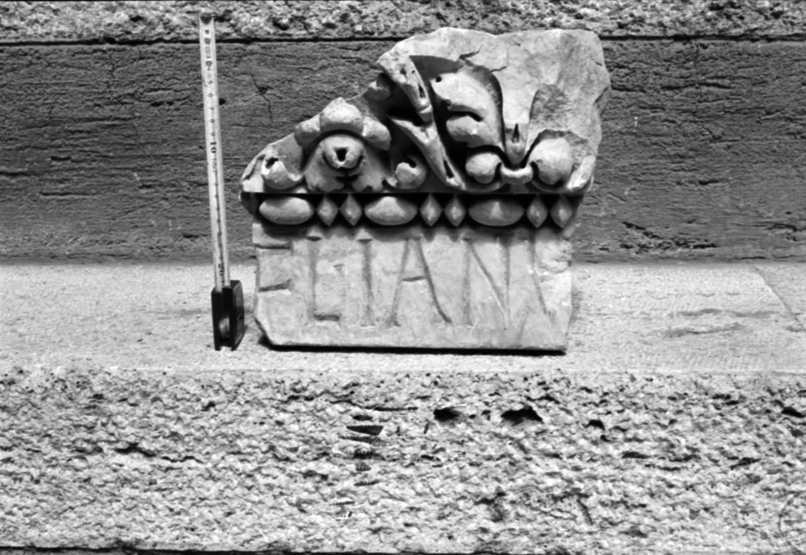 35mm-N_1-00017bis-19_000576.tif