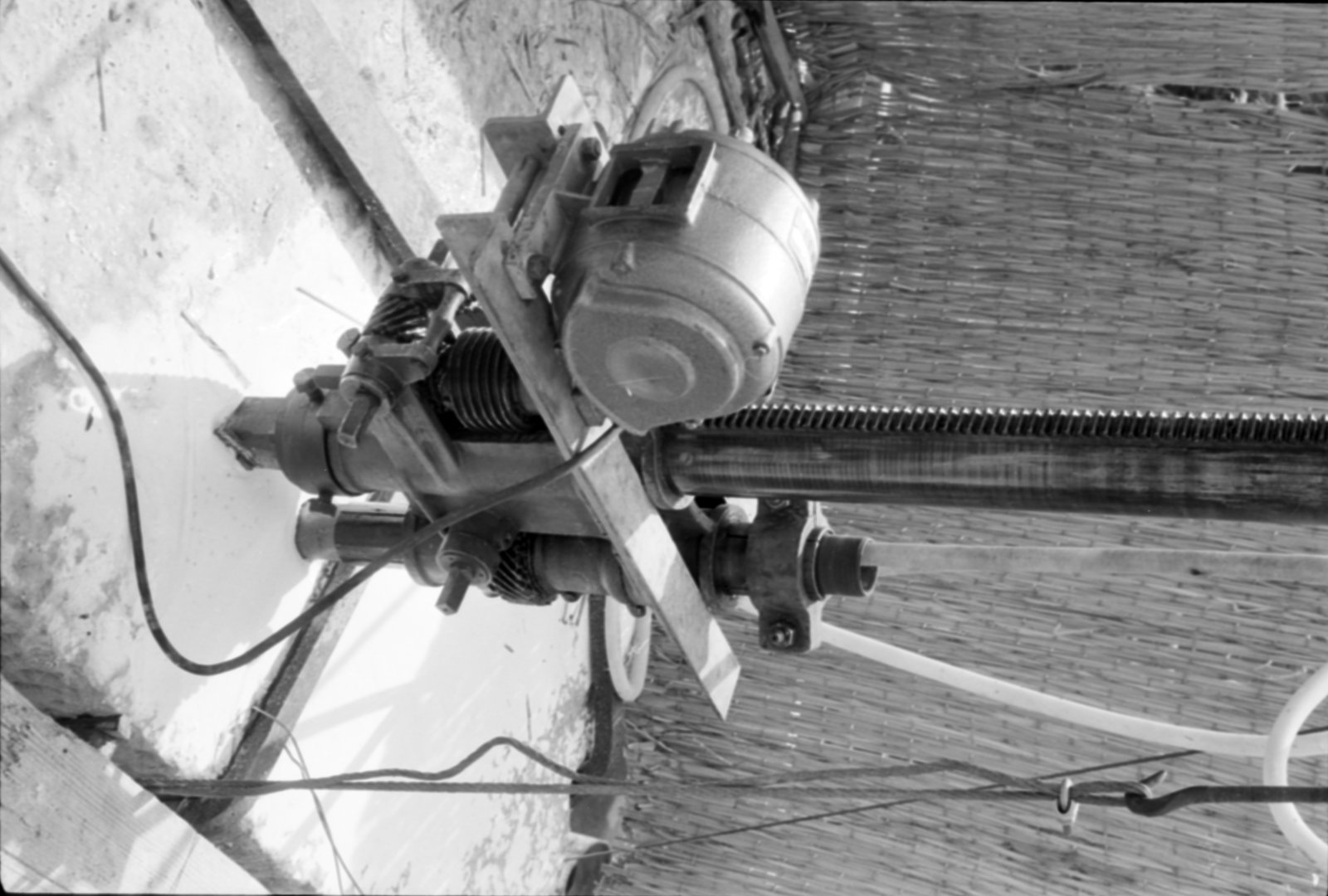 35mm-N_1-00019-24_000651.tif