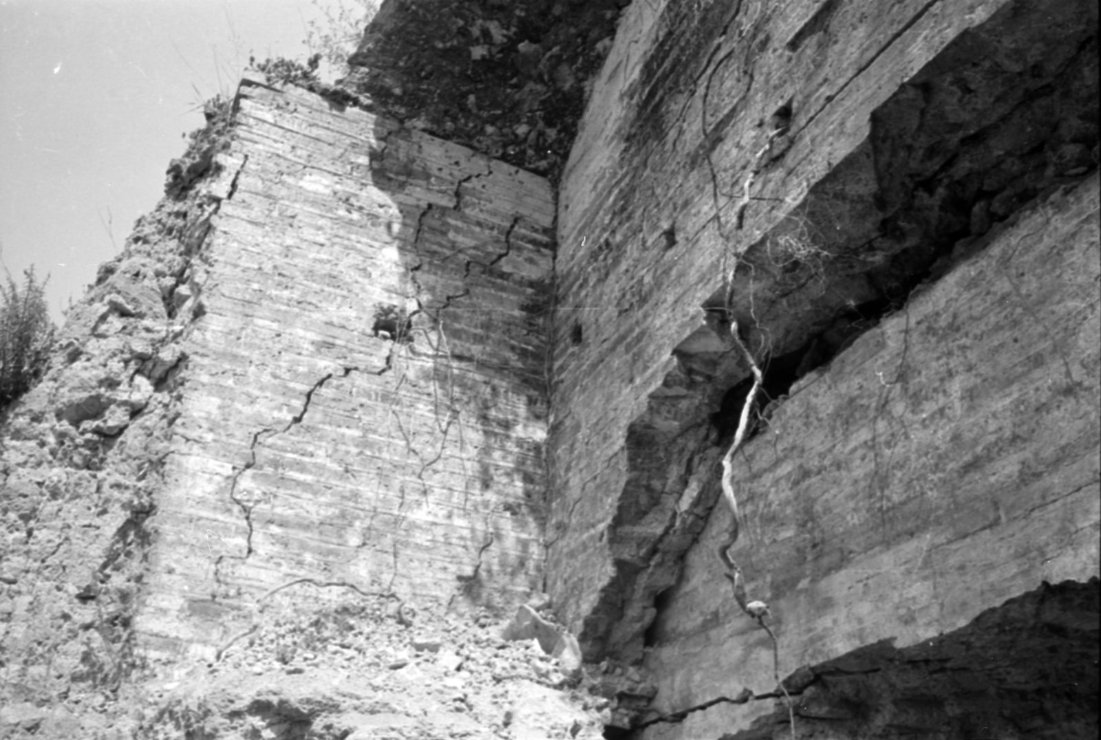 35mm-N_1-00023-38_000775.tif