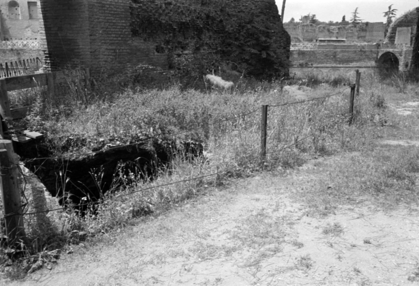 35mm-N_1-00025-34A_000814.tif