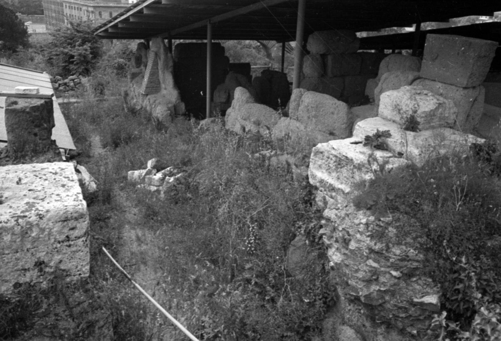 35mm-N_1-00025-37A_000817.tif