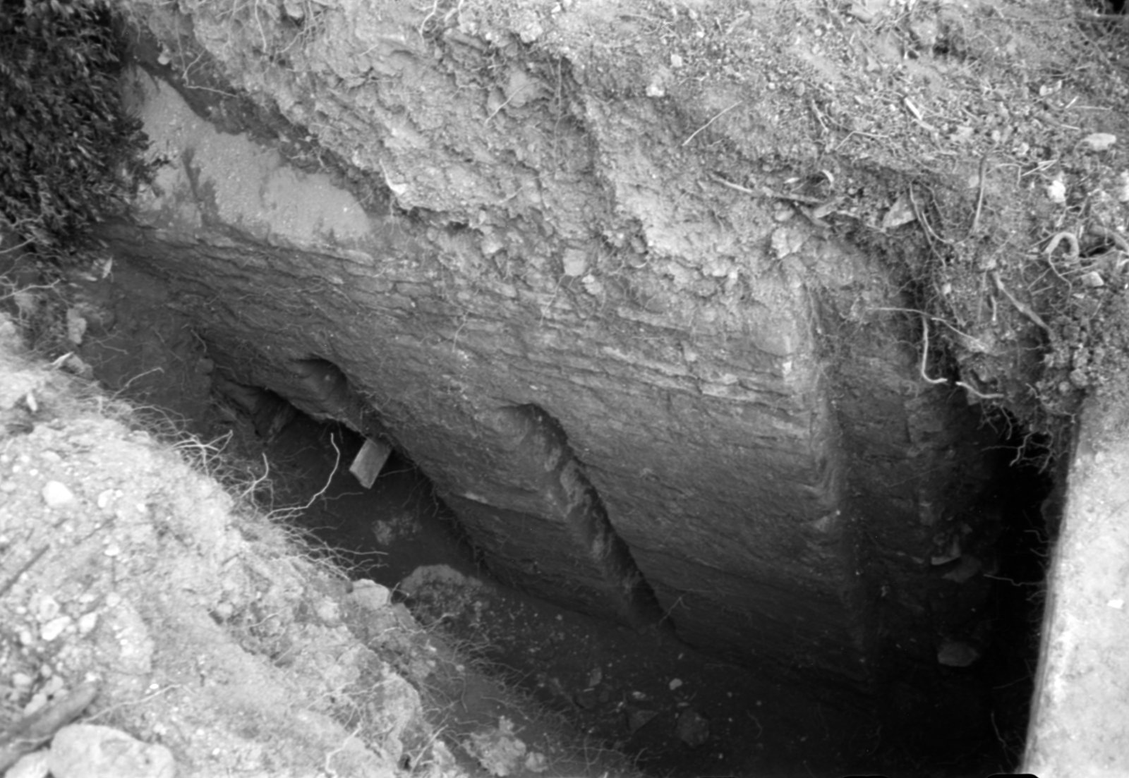 35mm-N_1-00026-19A_000823.tif