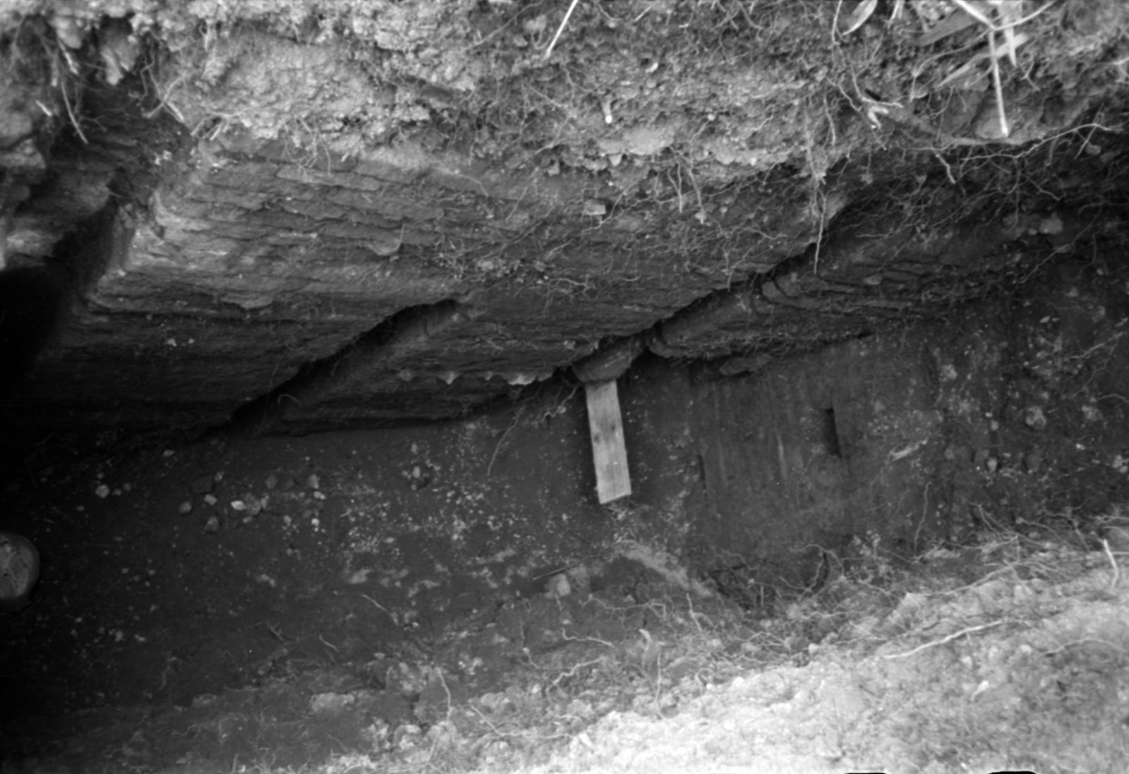 35mm-N_1-00026-20A_000824.tif