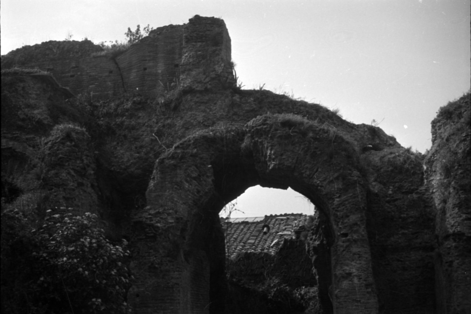 35mm-N_1-00027-10A_000837.tif