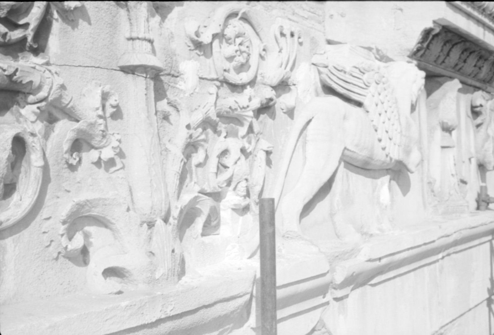 35mm-N_1-00028-36_000860.tif