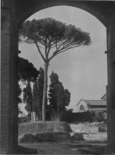 003175 - monumento - Domus Augustana, peristilio superiore: lato Sud, veduta del 1938