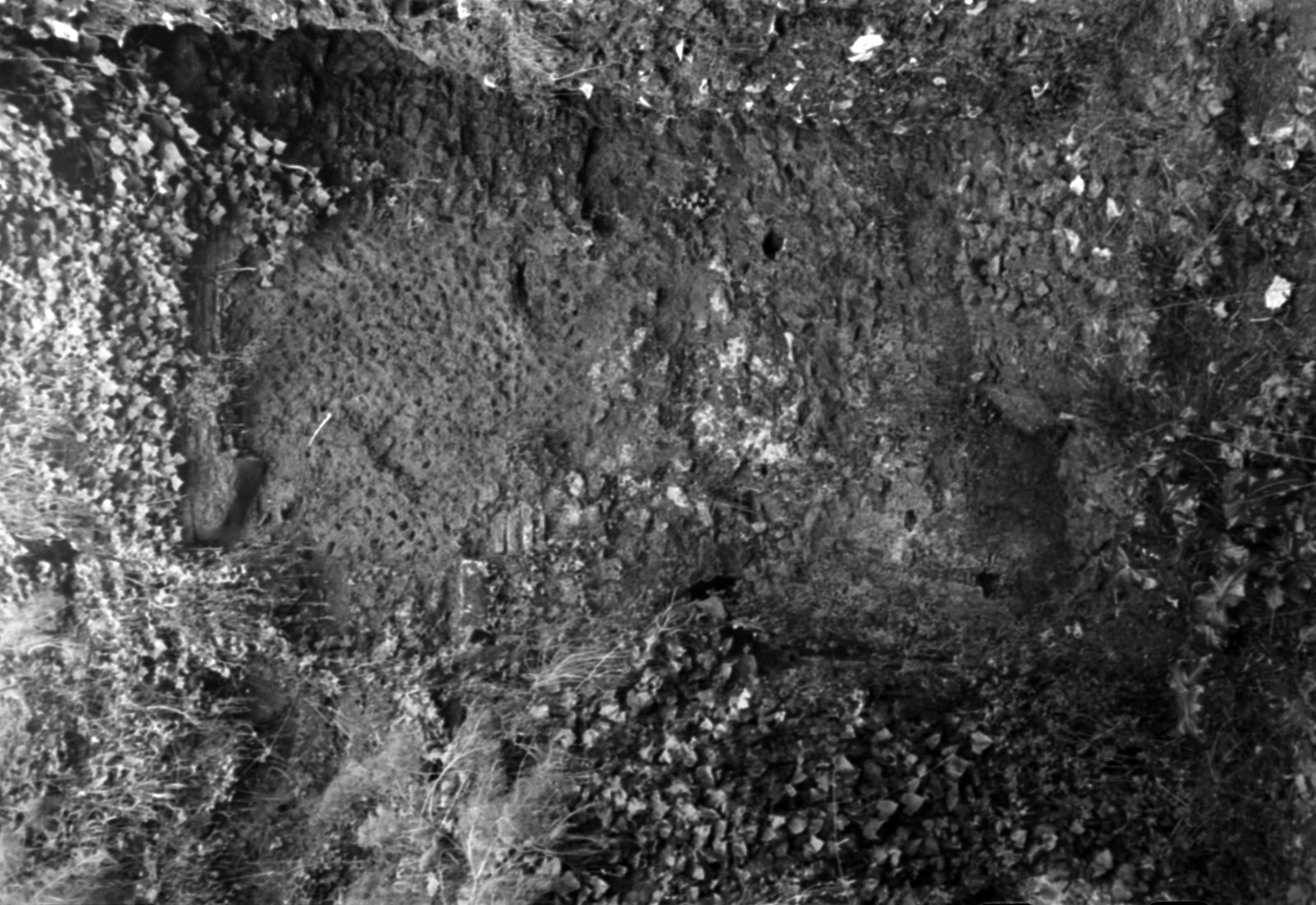35mm-N_1-00029-25_000901.tif