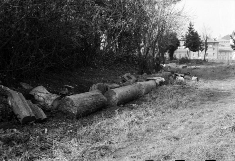 35mm-N_1-00030-38_000926.tif
