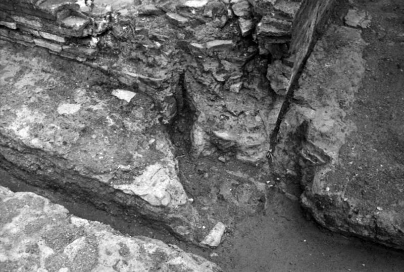 35mm-N_1-00034-30_001021.tif