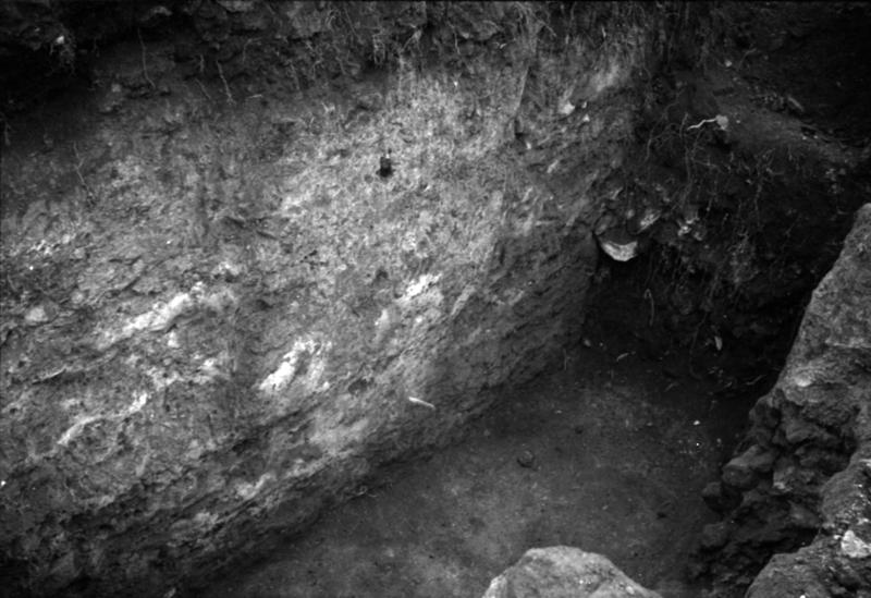 35mm-N_1-00038-71_001139.tif