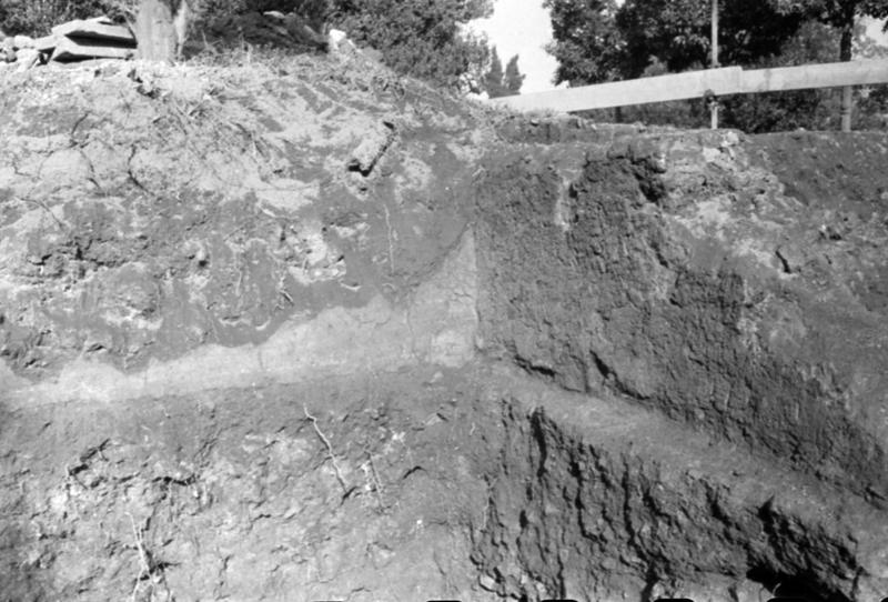 35mm-N_1-00041-21_001185.tif