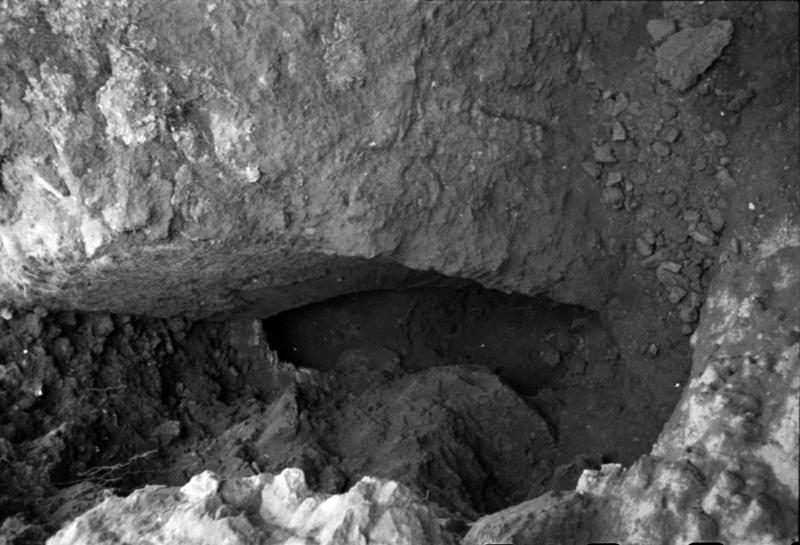 35mm-N_1-00041-41_001194.tif