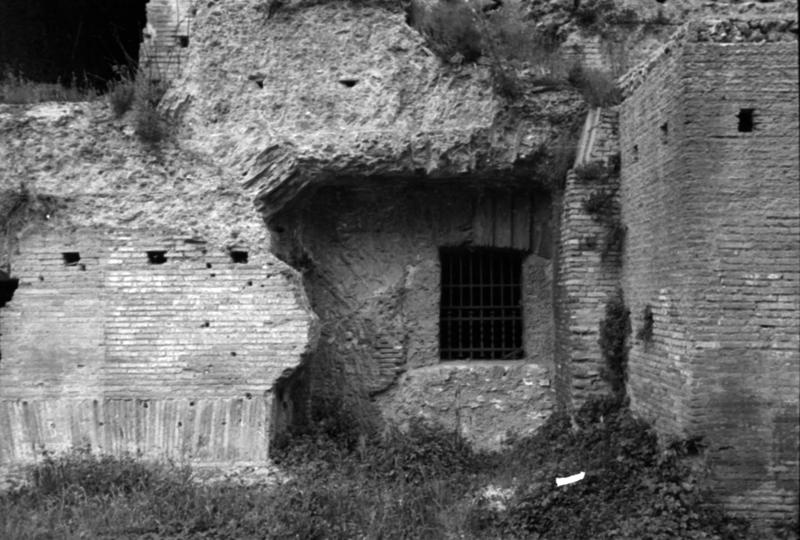 35mm-N_1-00041-45_001196.tif