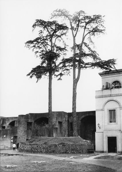 003210 - monumento - Domus Augustana, corpo centrale: piano superiore stato delle alberature, 1991