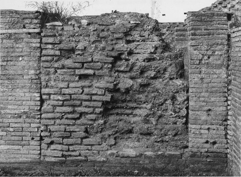 003266 - monumento - Domus Augustana, corpo centrale piano superiore: area retrostante il locale dove si conservano le pitture dell'Aula Isiaca, febbraio 1993