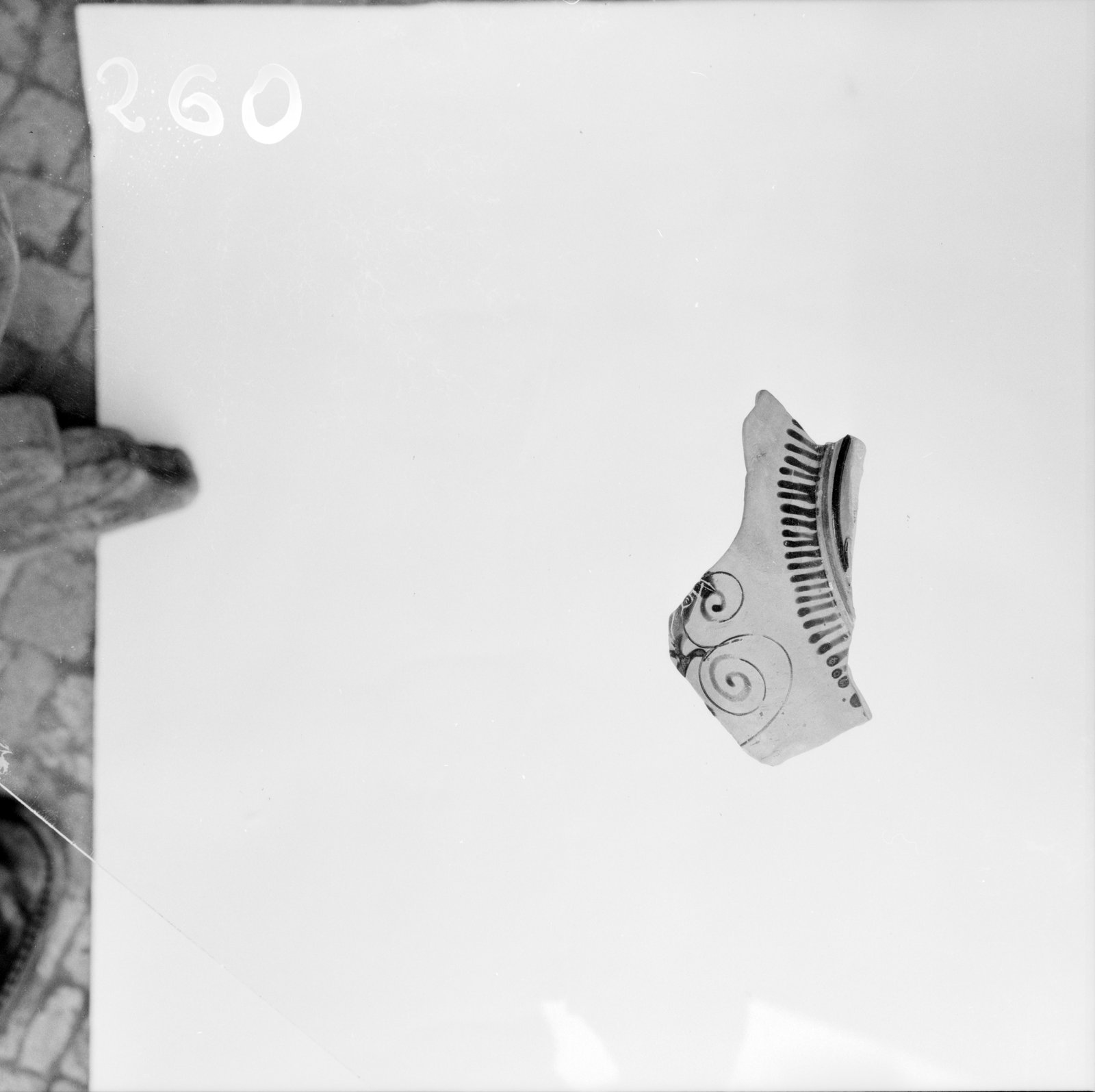 06x06-N_2-00260-99_001613.tif