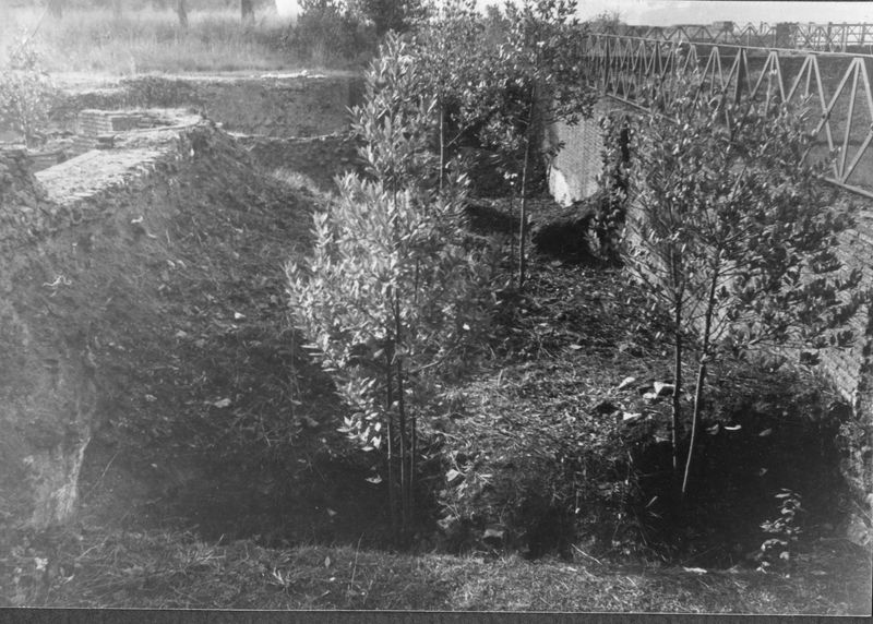 003289 - monumento - Domus Augustana, piano superiore costruzioni del lato Sud-Est: ambiente rotondo, gennaio 1958