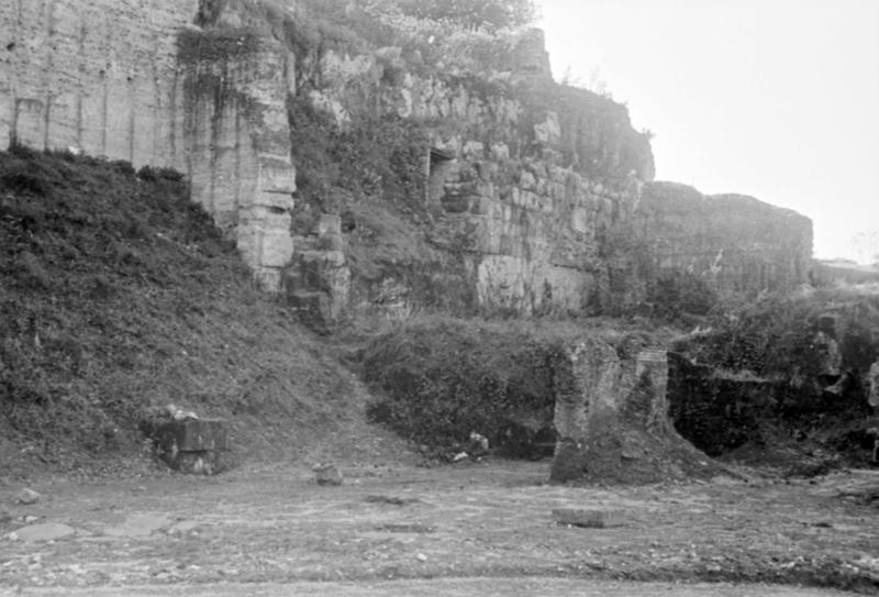 1-00005/ 07547/ 16775 - Roma - Foro Romano/Palatino - Horrea Agrippiana e Velabro  pendici occidentali