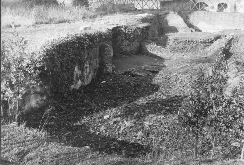 003293 - monumento - Domus Augustana, piano superiore costruzioni del lato Sud-Est: Vasca ovale Ovest