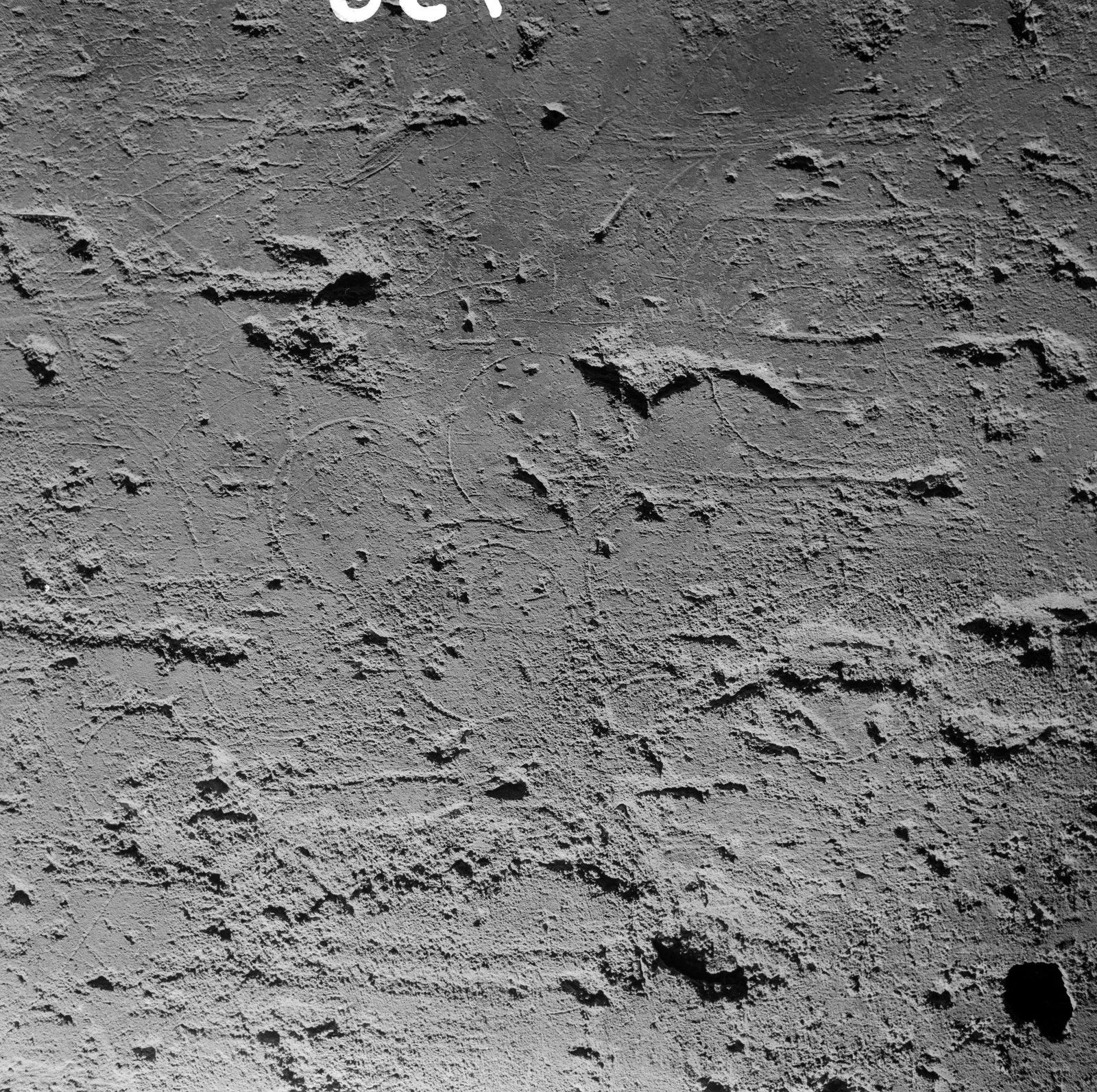 06x06-N_2-00736-01_002004.tif