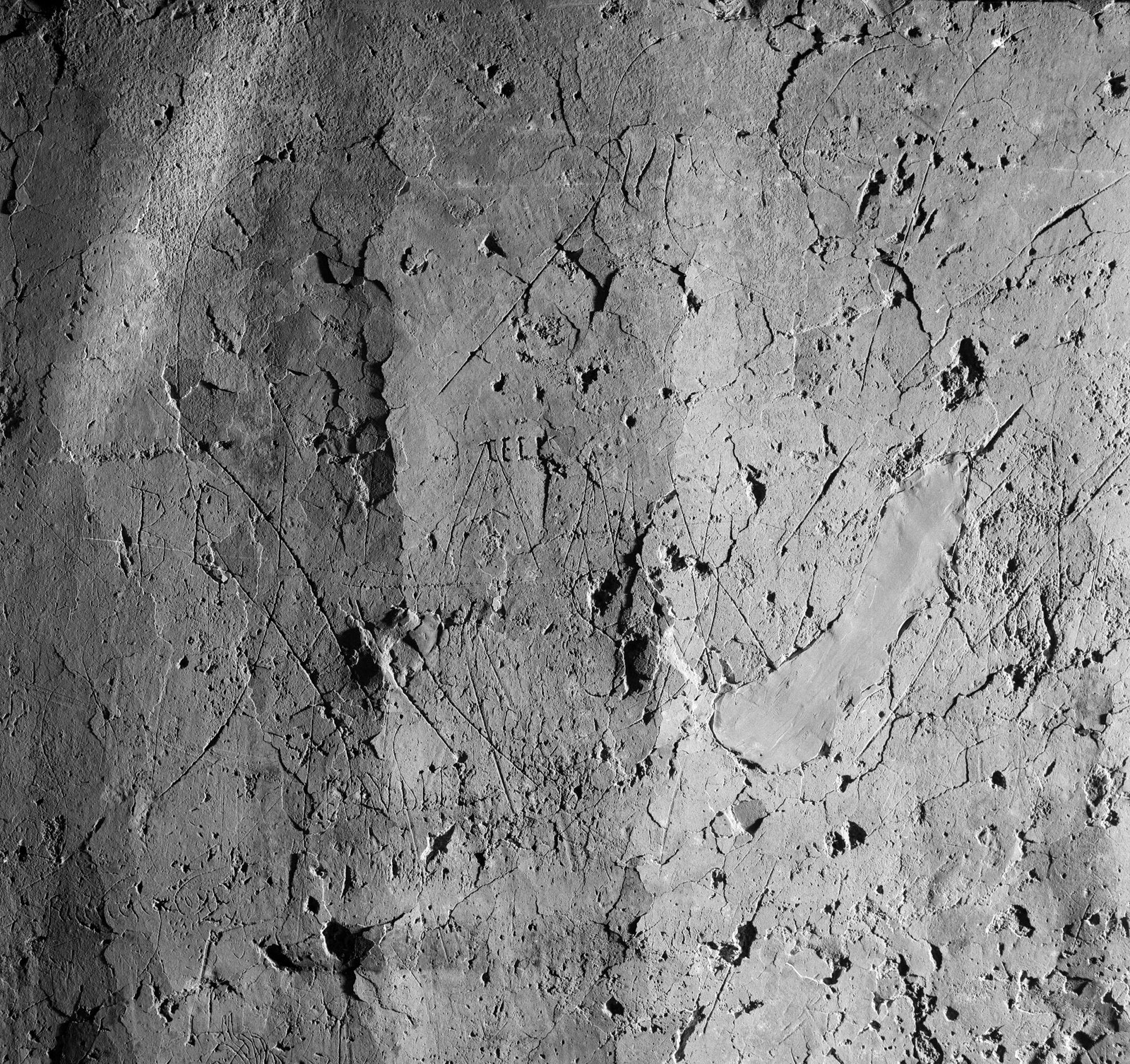 06x06-N_2-00737-01_002005.tif